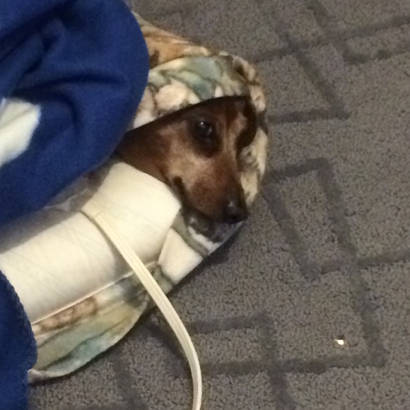 Bundle Up! - Picture 8 of 8